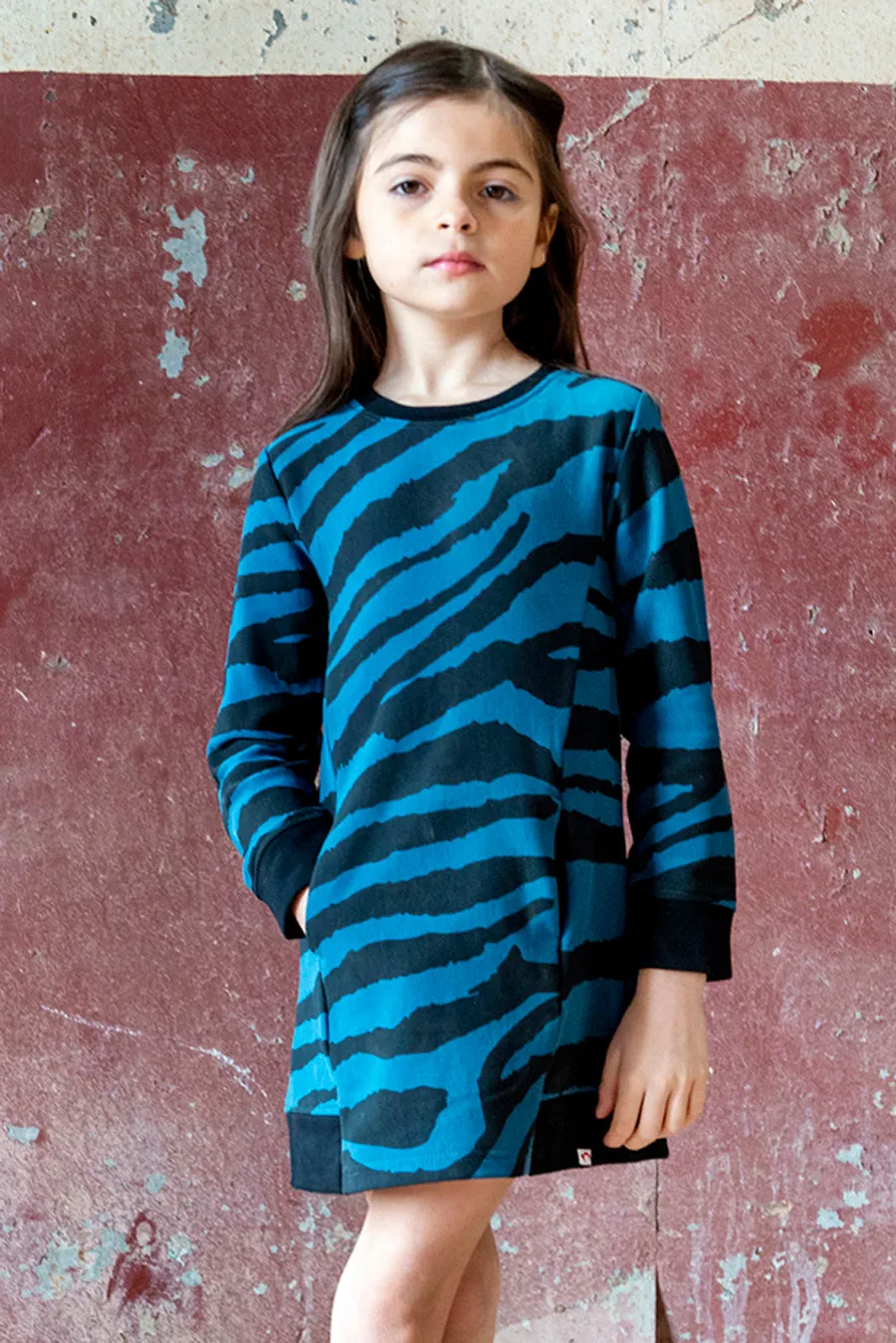 Girls Dress Appaman Camila - Zebra Stripes